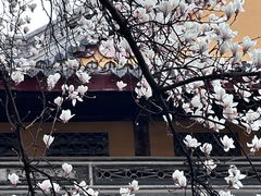 -龙华寺