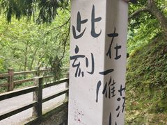 -雁荡山风景名胜区