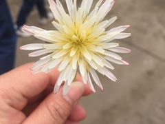 -荣誉国际酒店-海鲜自助餐厅(迎宾大道店)