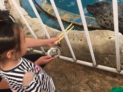 -芜湖新华联大白鲸海洋公园