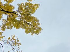 -翠湖湾海鲜音乐餐厅