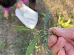 -天津东丽湖风景区