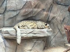 -青藏高原野生动物园