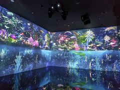 -中国湿地博物馆