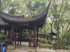 -上海佘山国家森林公园天马山园