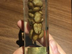 -巴厘岛黄金金兔咖啡工厂