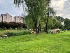 -洛阳市隋唐城遗址植物园