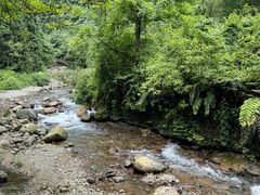 -西岭雪山大飞水景区