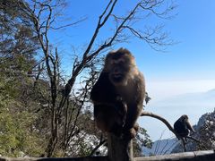 -峨眉山风景名胜区