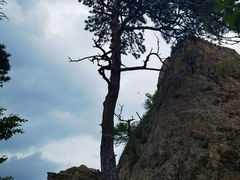 -大连天门山国家森林公园