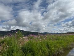 -泸沽湖国家级风景名胜区走婚桥
