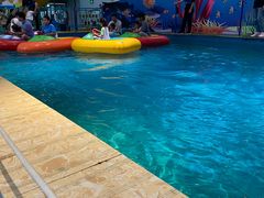 -蒙特利亲子乐园