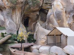 -杭州开元森泊度假乐园