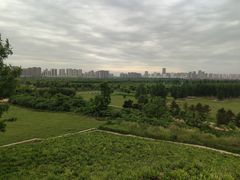 -汉长安城未央宫国家考古遗址公园