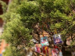 -杭州上天竺法喜讲寺