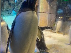 -波塞冬旅游度假区