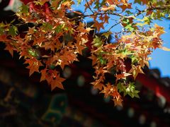 -香山公园