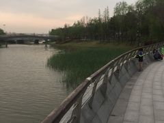 -南翔镇银翔湖公园