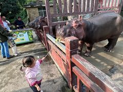 -贵州森林野生动物园
