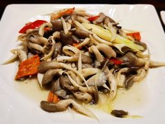 清炒平菇-玛禄藏膳(五分店)