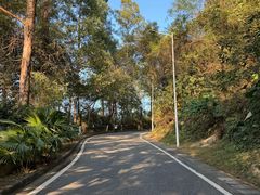 -火炉山森林公园