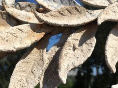 -天津工业大学(河东校区)