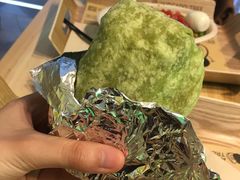 -油梨树AVOCADO TREE(望京店)
