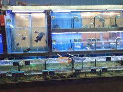 -南海渔村海鲜餐厅(溪涌店)