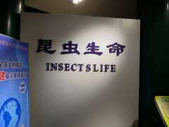 -上海昆虫博物馆