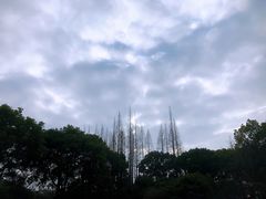 -上海醉白池公园