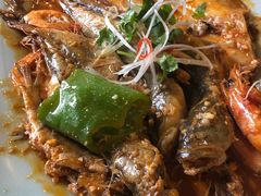 -渔娘渔家丹东海鲜(东直门店)