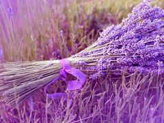 -全家便利店(秀沿路店)