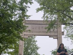-紫金山山顶公园