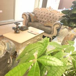 -久匠·纹眉半永久野生眉