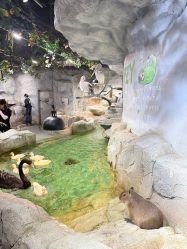 -Zoolung Zoolung动物主题公园(海信广场店)