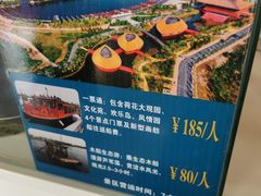 -白洋淀景区