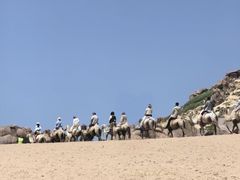 -玉龙沙湖景区