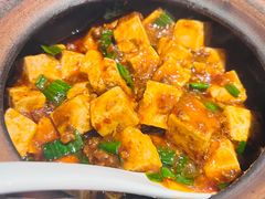 麻婆豆腐-马旺子·川小馆