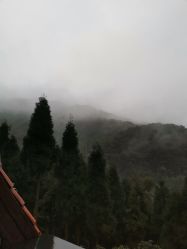 -雍禾植发