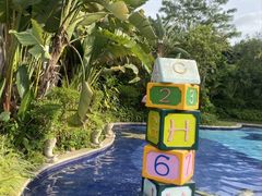 -碧桂园润杨溪谷温泉酒店