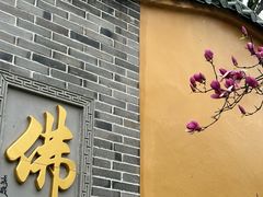 -龙游石窟
