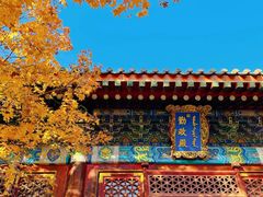 -香山公园