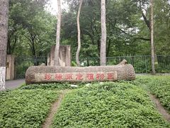 -黑龙江省森林植物园