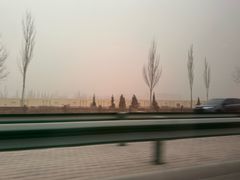 -马有布牛肉面(敦煌店)