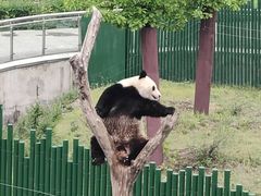 -沈阳森林动物园