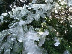 -江西阳明山国家森林公园