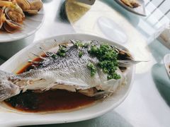 -七鲜渔港美食餐厅(巽寮湾海景店)