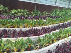 -兰陵国家农业公园