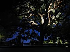 -西湖外事游船(花港观鱼码头)