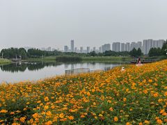 -洋湖国家湿地公园
